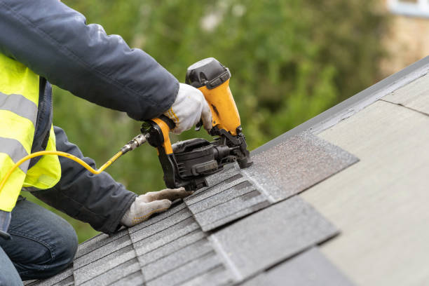 Best Solar Panel Roofing Installation  in USA